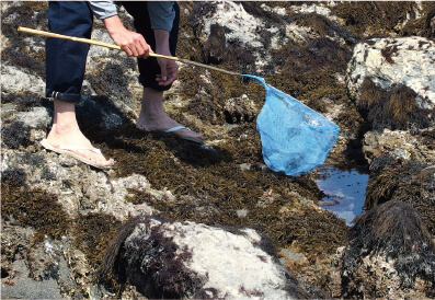 遊びにマジな大人たち